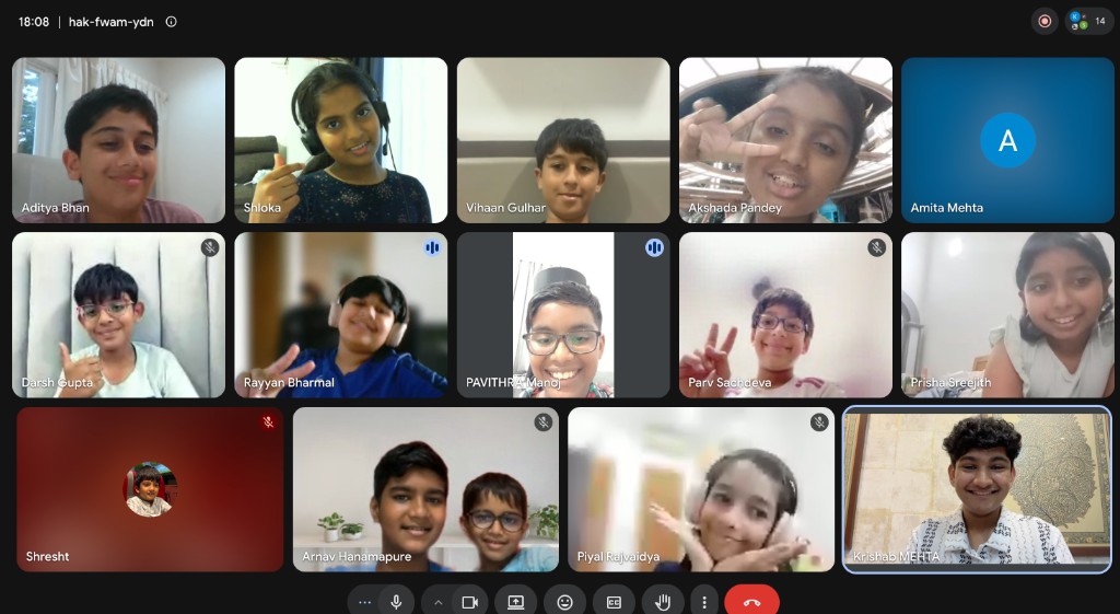 Virtual Mentoring Session